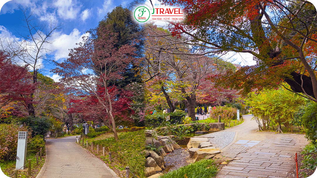 Công viên Ueno - Một trong những địa điểm ngắm lá đỏ nổi tiếng nhất tại thủ đô