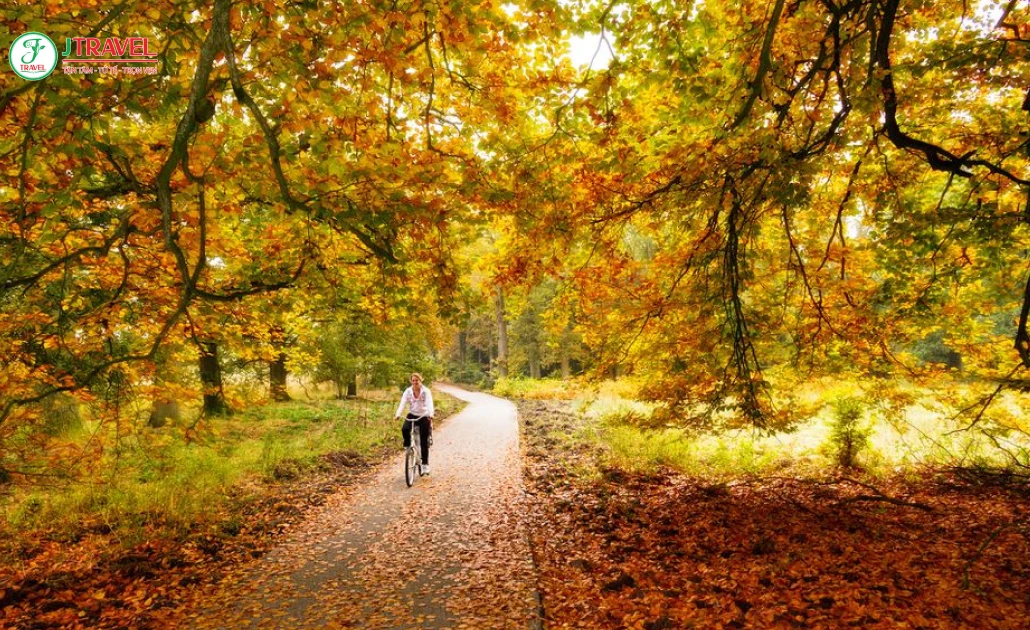 Hà Lan mùa thu với lá vàng lãng mạn