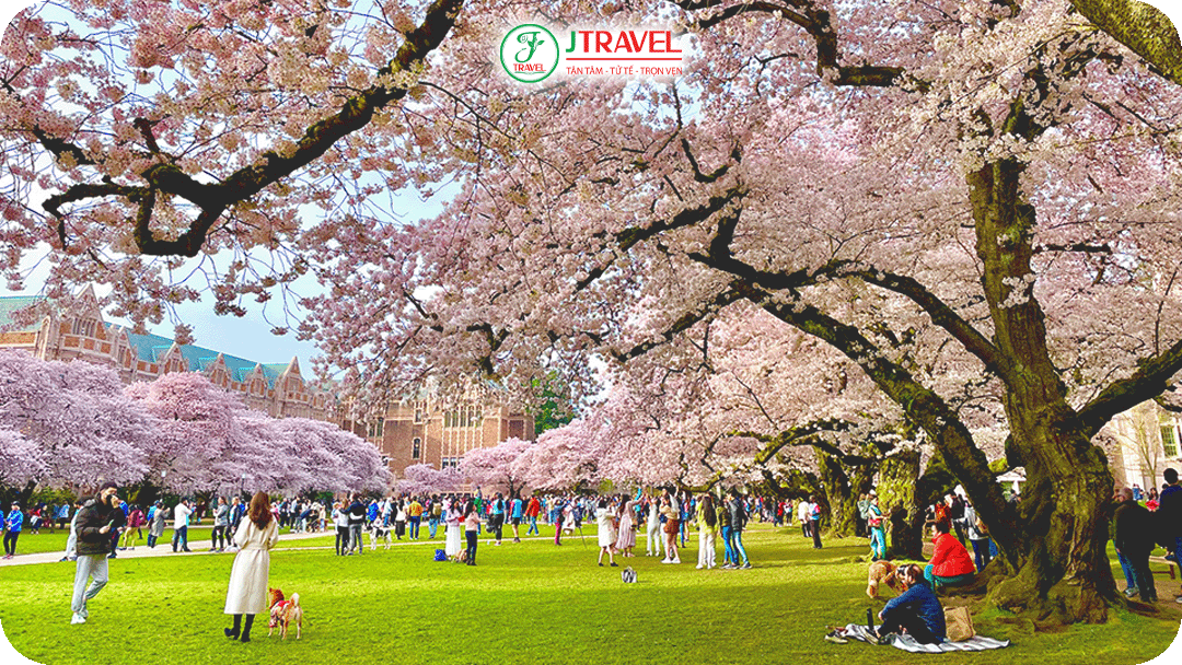 Mùa xuân ở Mỹ mang đến cảm giác vừa hiện đại, vừa gần gũi tràn đầy sức sống