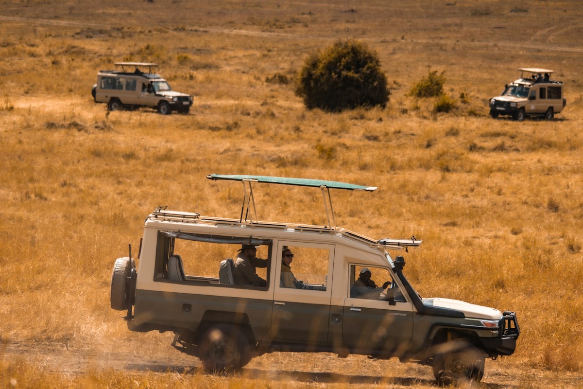 Xe safari trên thảo nguyên Serengeti mùa khô