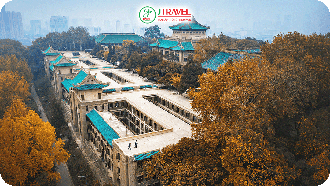 Mùa thu Vũ Hán – Khúc giao mùa lá vàng trong khuôn viên đại học