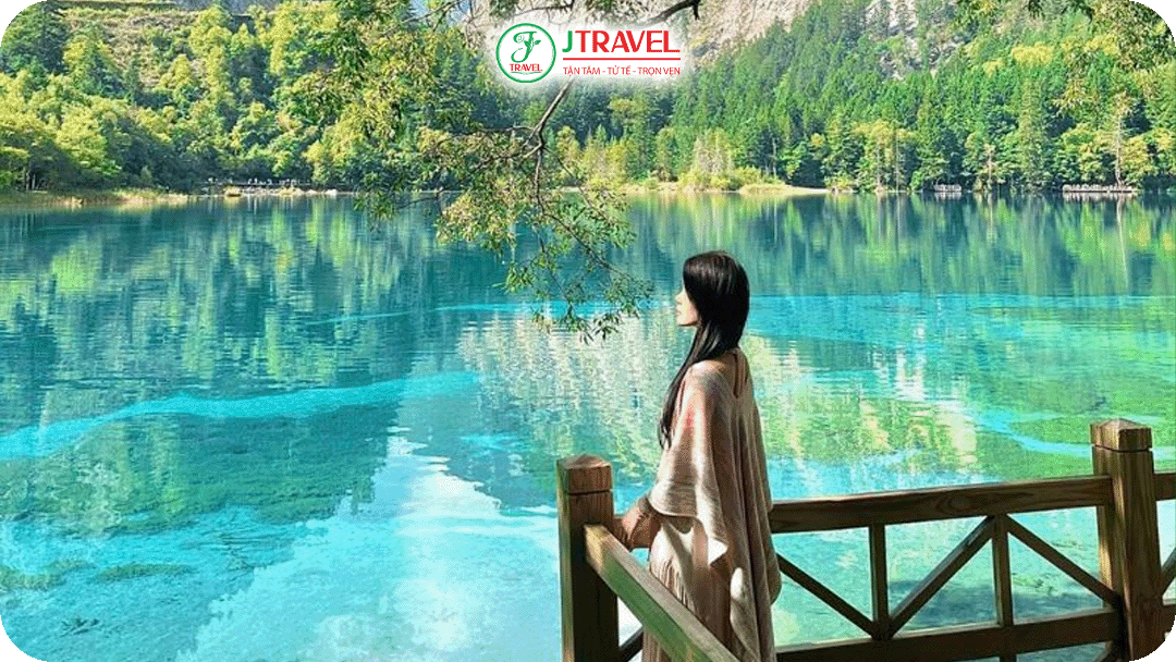 Mùa hè mang đến cho Cửu Trại Câu một diện mạo xanh mát và đầy sức sống